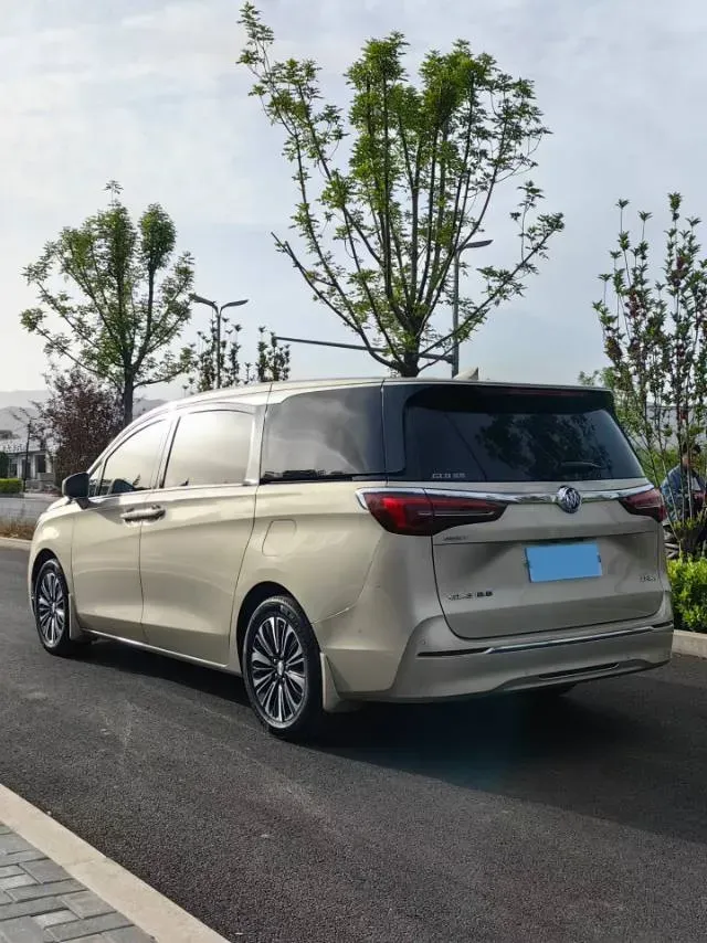 2020 Buick GL8 2.0T 237HP L4 9AT,autocango,china used car exporter,china ev exporter,chinese used car exporter,chinese used ev exporter