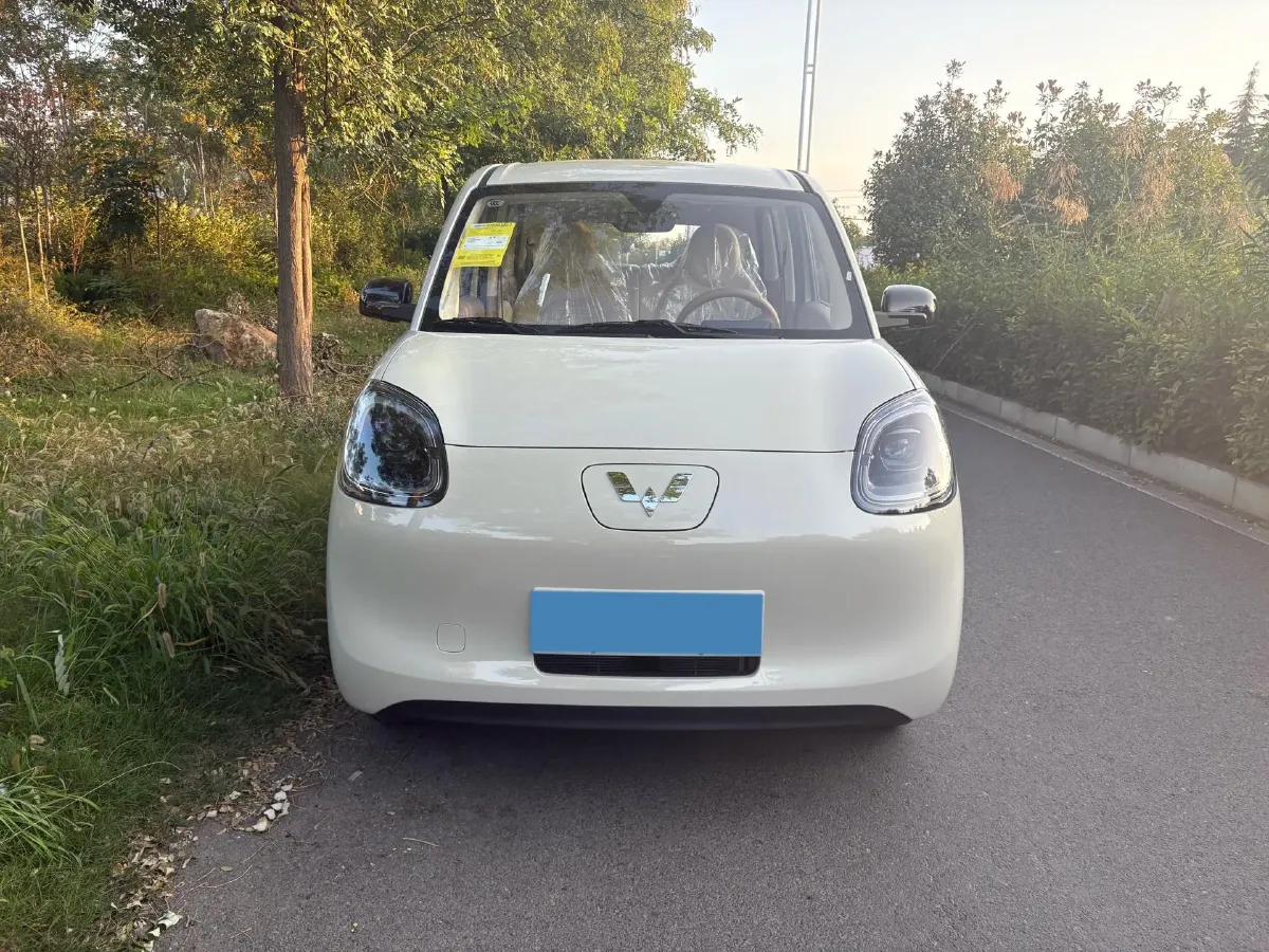2025 WuLing HongGuang MINI EV BEV 16.2KWH,autocango,china used car exporter,china ev exporter,chinese used car exporter,chinese used ev exporter