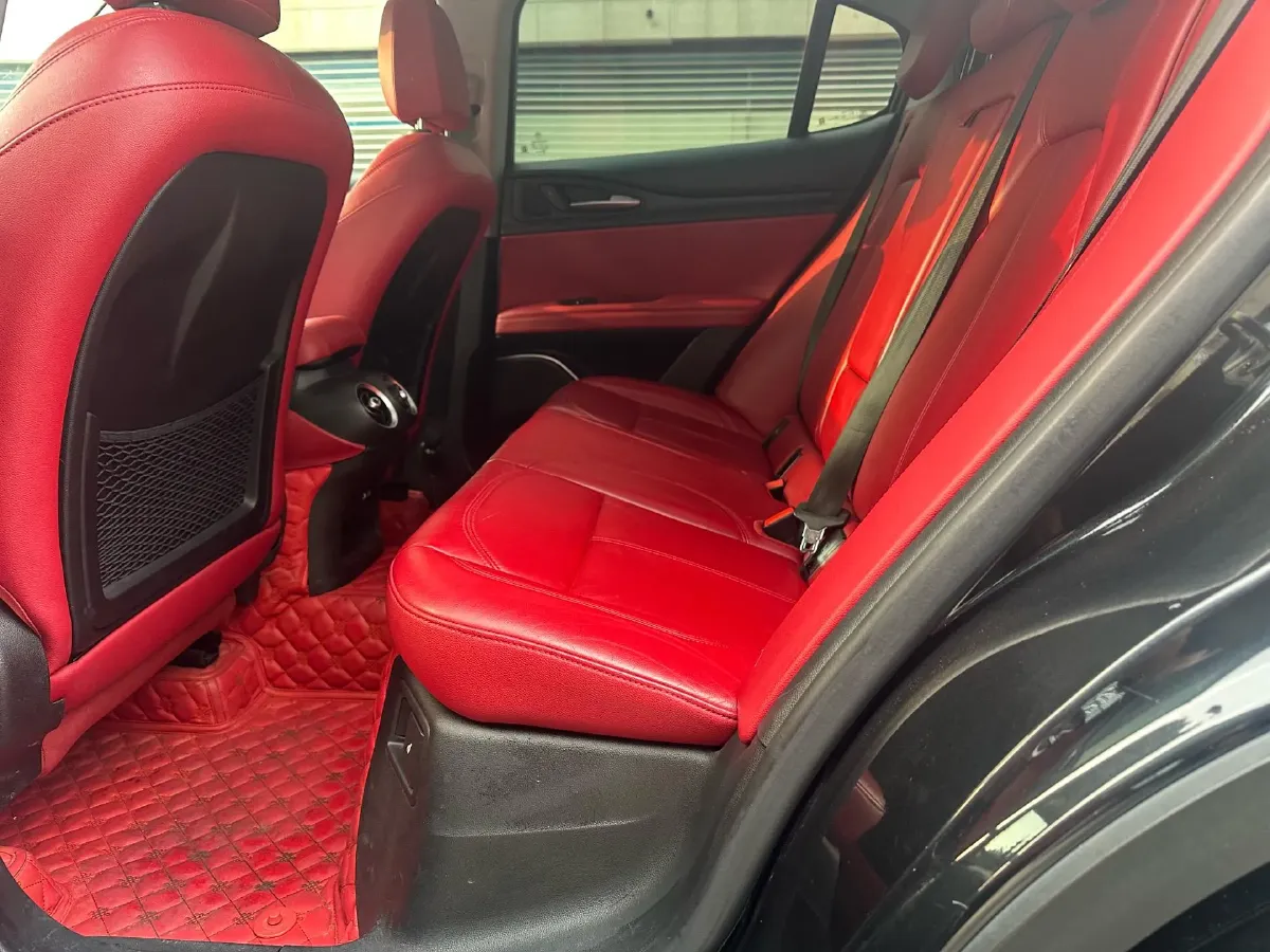 2017 Lexus NX 2.0T 238HP L4 6AT,autocango,china used car exporter,china ev exporter,chinese used car exporter,chinese used ev exporter