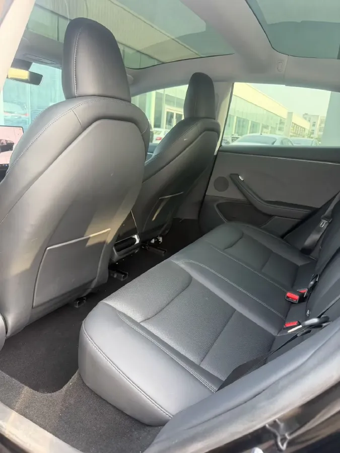 2025 Tesla Model 3 BEV,autocango,china used car exporter,china ev exporter,chinese used car exporter,chinese used ev exporter