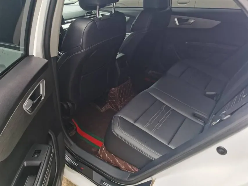 2019 BYD Qin BEV 53.1KWH,autocango,china used car exporter,china ev exporter,chinese used car exporter,chinese used ev exporter