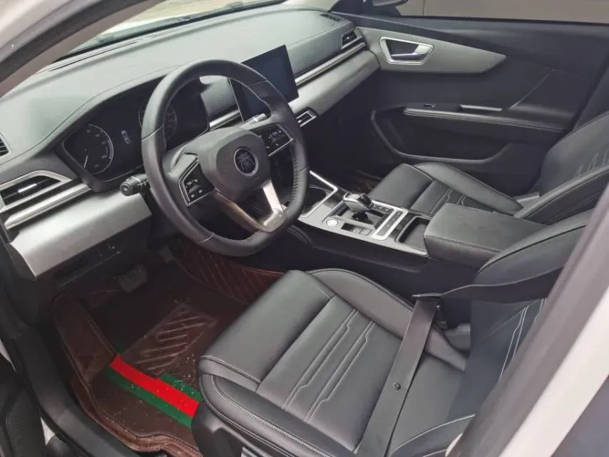 2019 BYD Qin BEV 53.1KWH,autocango,china used car exporter,china ev exporter,chinese used car exporter,chinese used ev exporter