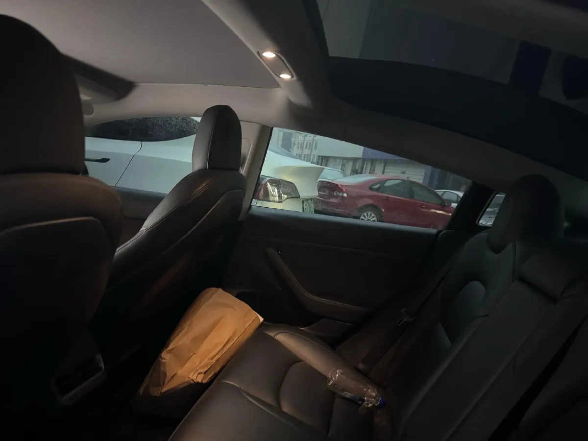 2021 Tesla Model 3 BEV 55KWH,autocango,china used car exporter,china ev exporter,chinese used car exporter,chinese used ev exporter