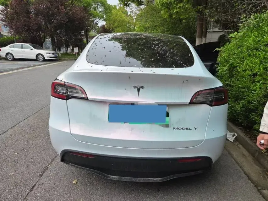 2022 Tesla Model Y BEV 60KWH,autocango,china used car exporter,china ev exporter,chinese used car exporter,chinese used ev exporter