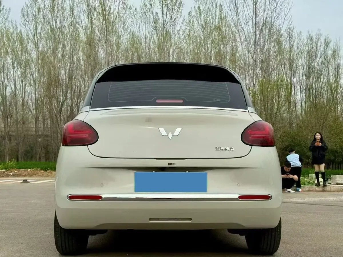 2025 WuLing BinGuo BEV,autocango,china used car exporter,china ev exporter,chinese used car exporter,chinese used ev exporter