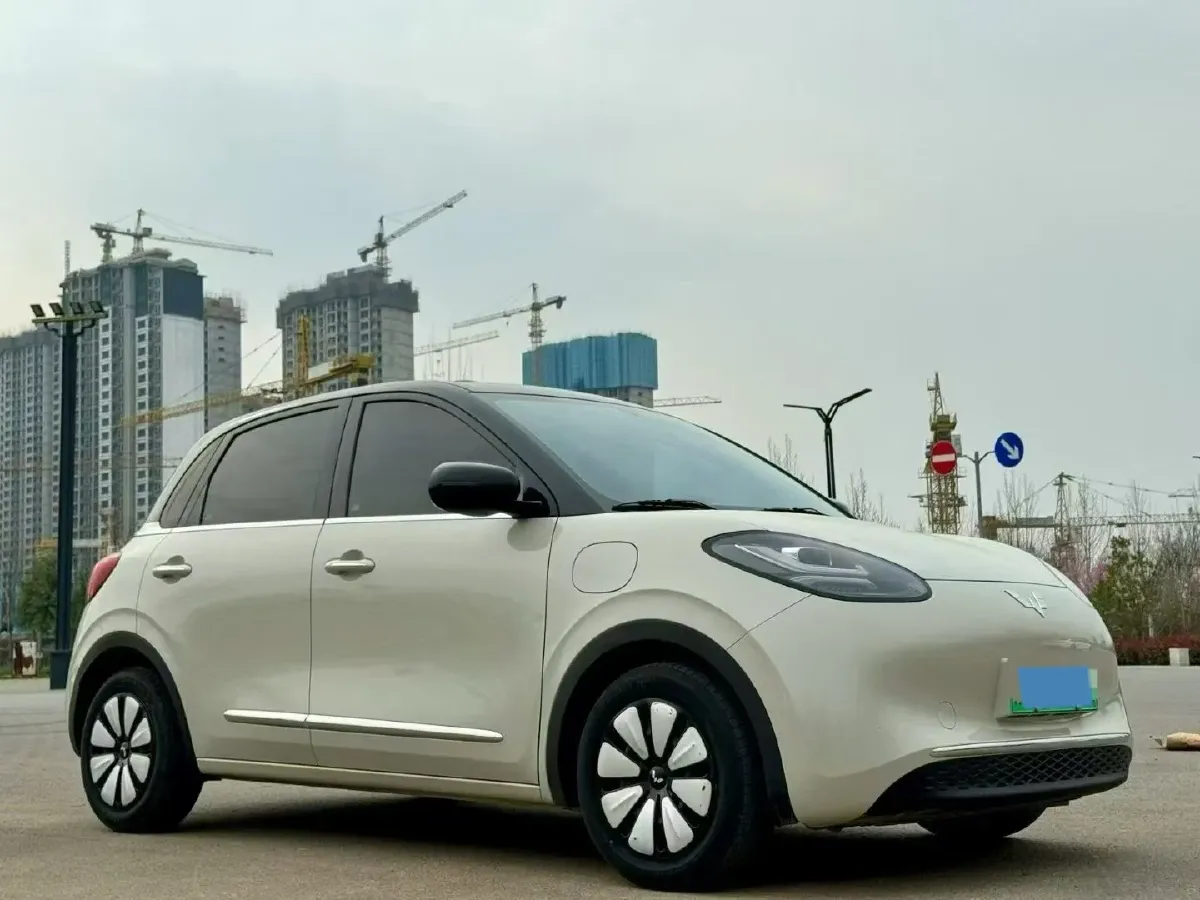 2025 WuLing BinGuo BEV,autocango,china used car exporter,china ev exporter,chinese used car exporter,chinese used ev exporter