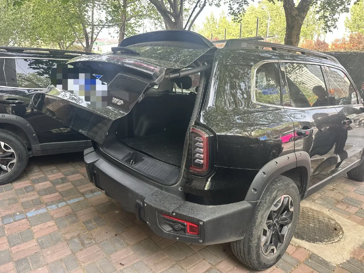 2024 Haval Dargo 2.0T 238HP L4 9DCT,autocango,china used car exporter,china ev exporter,chinese used car exporter,chinese used ev exporter