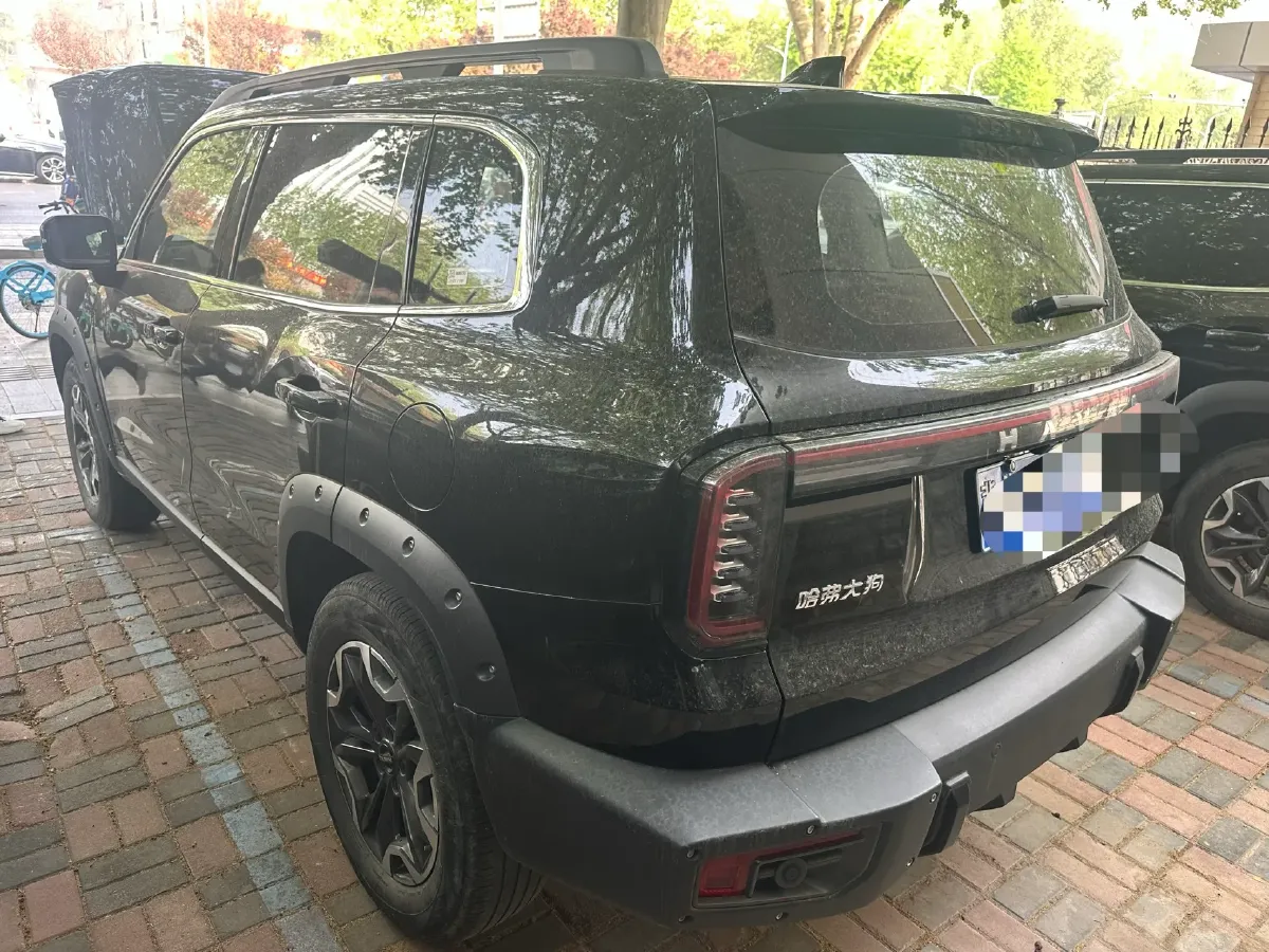 2024 Haval Dargo 2.0T 238HP L4 9DCT,autocango,china used car exporter,china ev exporter,chinese used car exporter,chinese used ev exporter