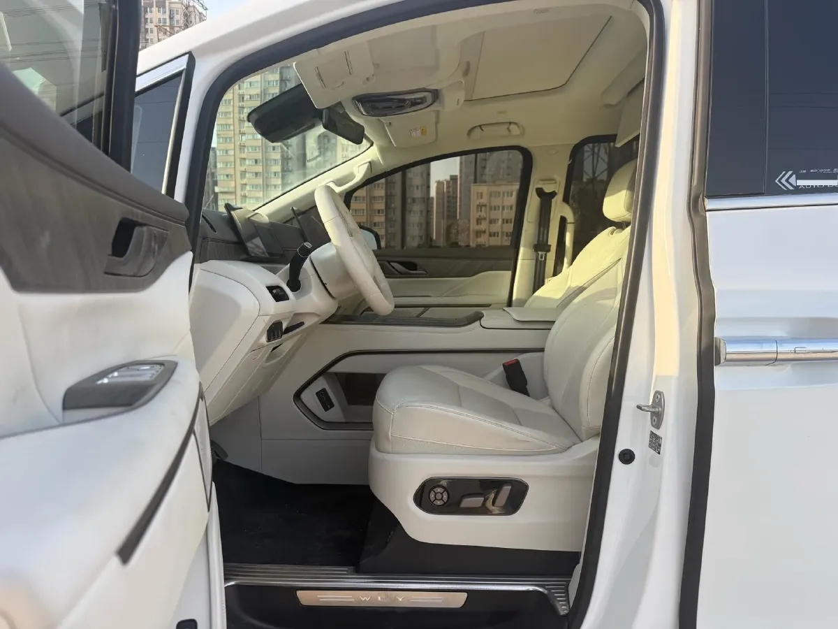 2025 WEY HighMountain 1.5T 170HP L4 4DHT PHEV,autocango,china used car exporter,china ev exporter,chinese used car exporter,chinese used ev exporter