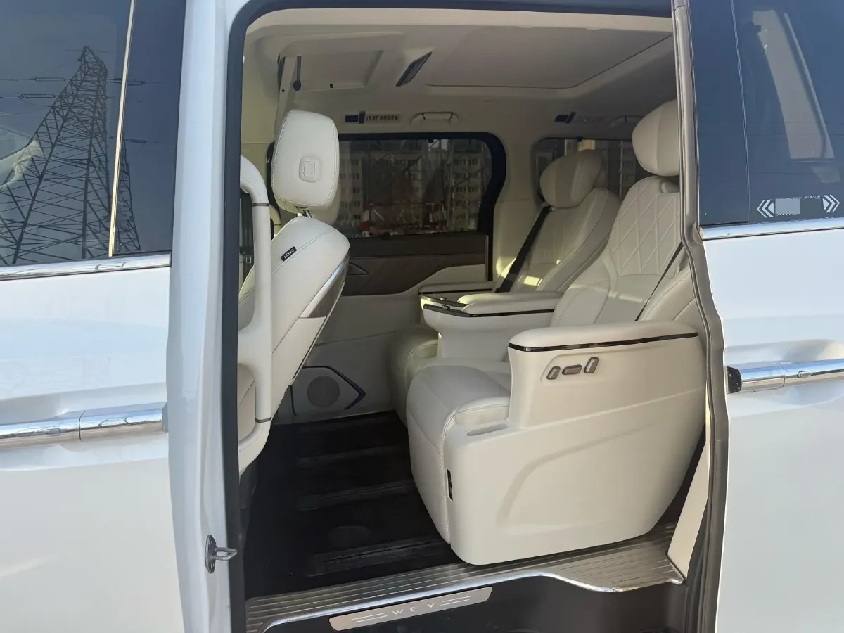 2025 WEY HighMountain 1.5T 170HP L4 4DHT PHEV,autocango,china used car exporter,china ev exporter,chinese used car exporter,chinese used ev exporter