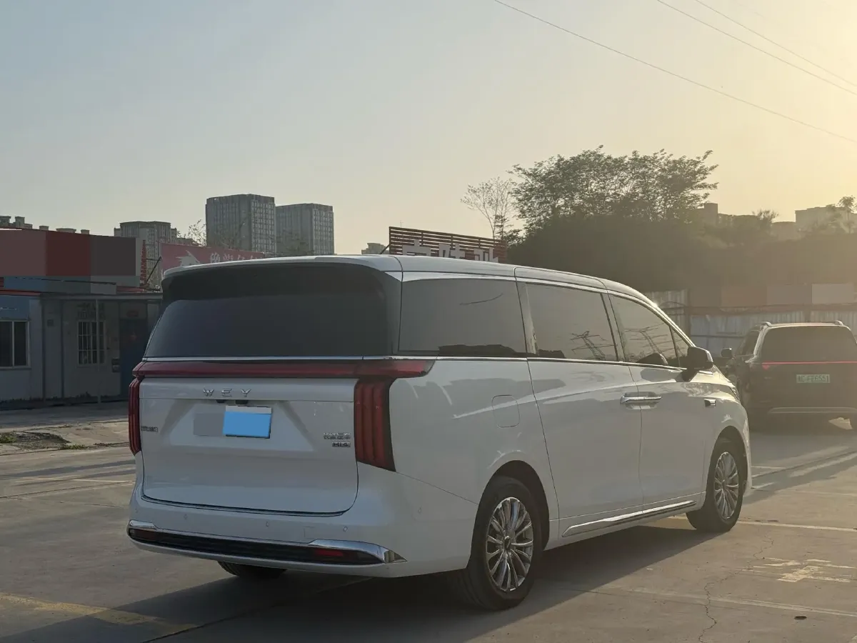 2025 WEY HighMountain 1.5T 170HP L4 4DHT PHEV,autocango,china used car exporter,china ev exporter,chinese used car exporter,chinese used ev exporter