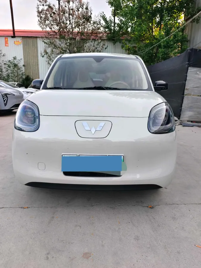 2025 WuLing HongGuang MINI EV BEV 16.2KWH,autocango,china used car exporter,china ev exporter,chinese used car exporter,chinese used ev exporter