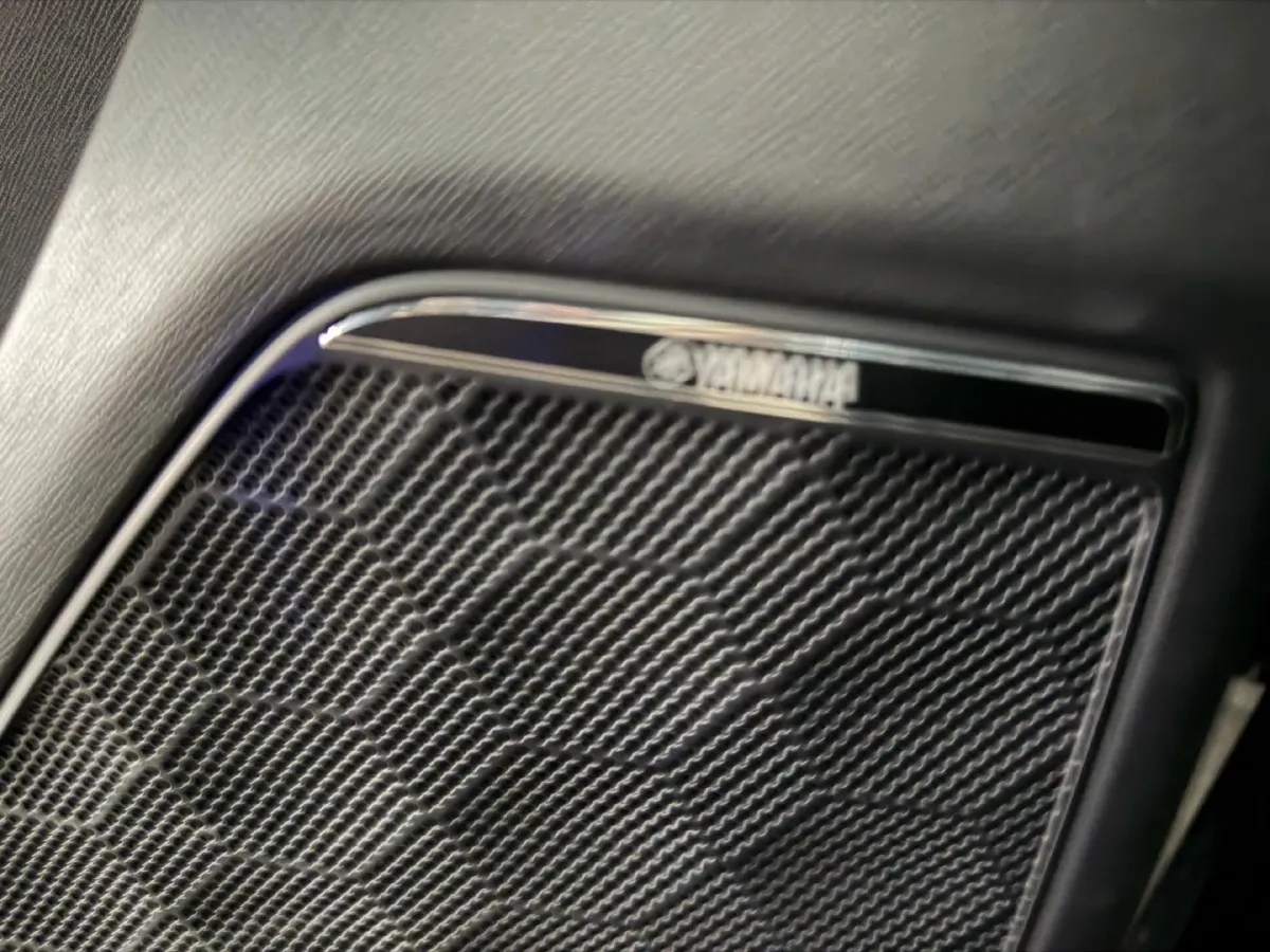 2023 GAC Trumpchi M8 2.0T 252HP L4 8AT,autocango,china used car exporter,china ev exporter,chinese used car exporter,chinese used ev exporter