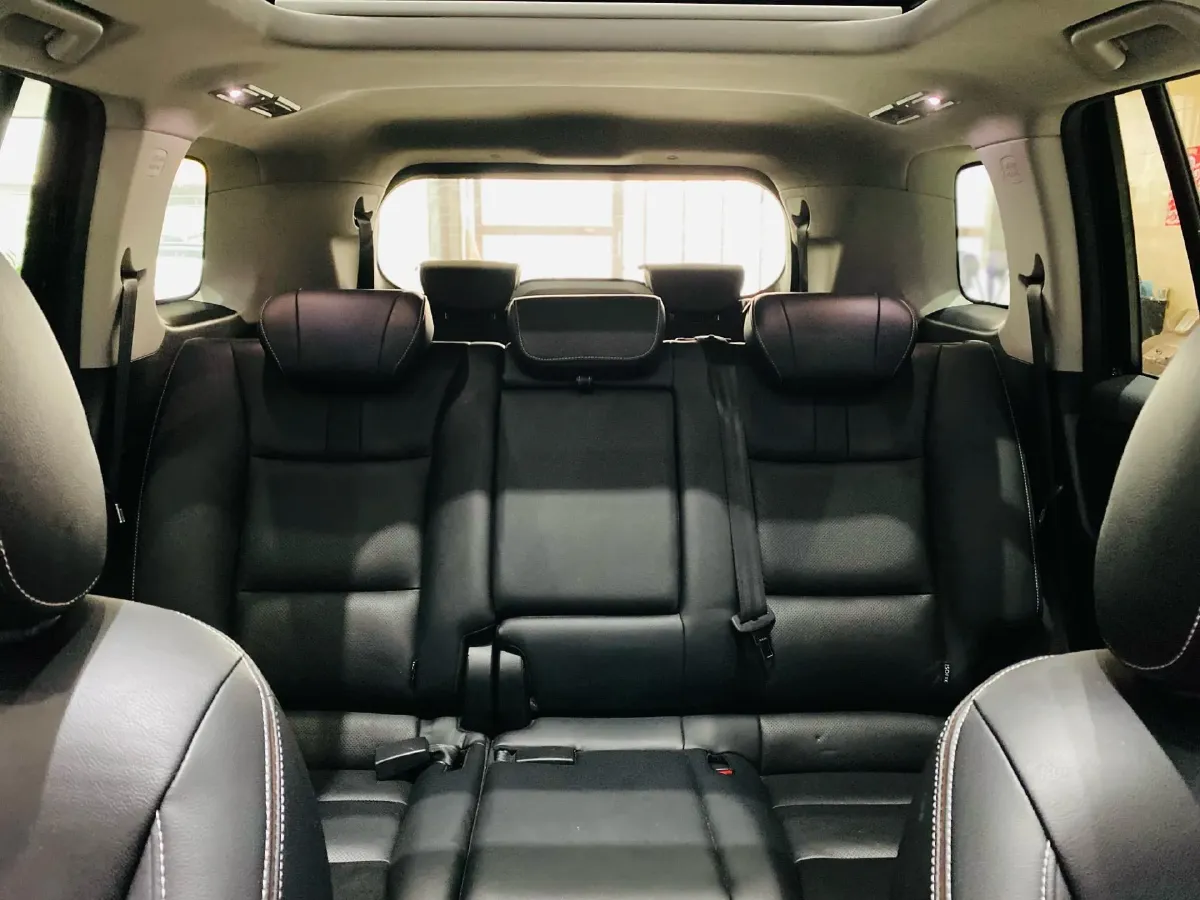 2020 GAC Trumpchi GS8 2.0T 252HP L4 6AT,autocango,china used car exporter,china ev exporter,chinese used car exporter,chinese used ev exporter