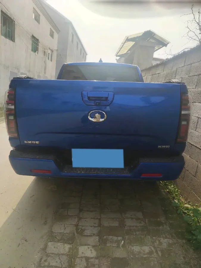 2021 Great Wall Poer 2.0T 163HP L4 8AT,autocango,china used car exporter,china ev exporter,chinese used car exporter,chinese used ev exporter