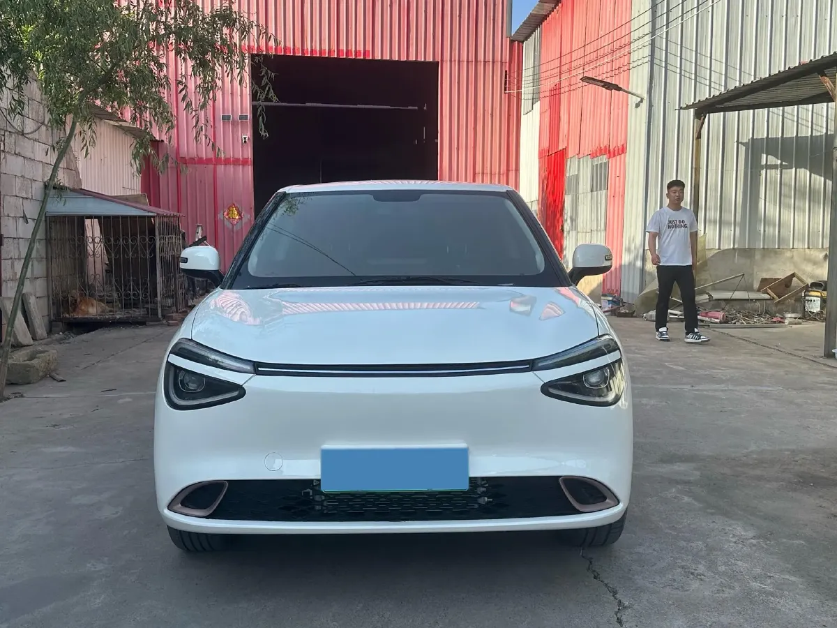 2024 DongFeng eπ 01 BEV 31.45KWH,autocango,china used car exporter,china ev exporter,chinese used car exporter,chinese used ev exporter