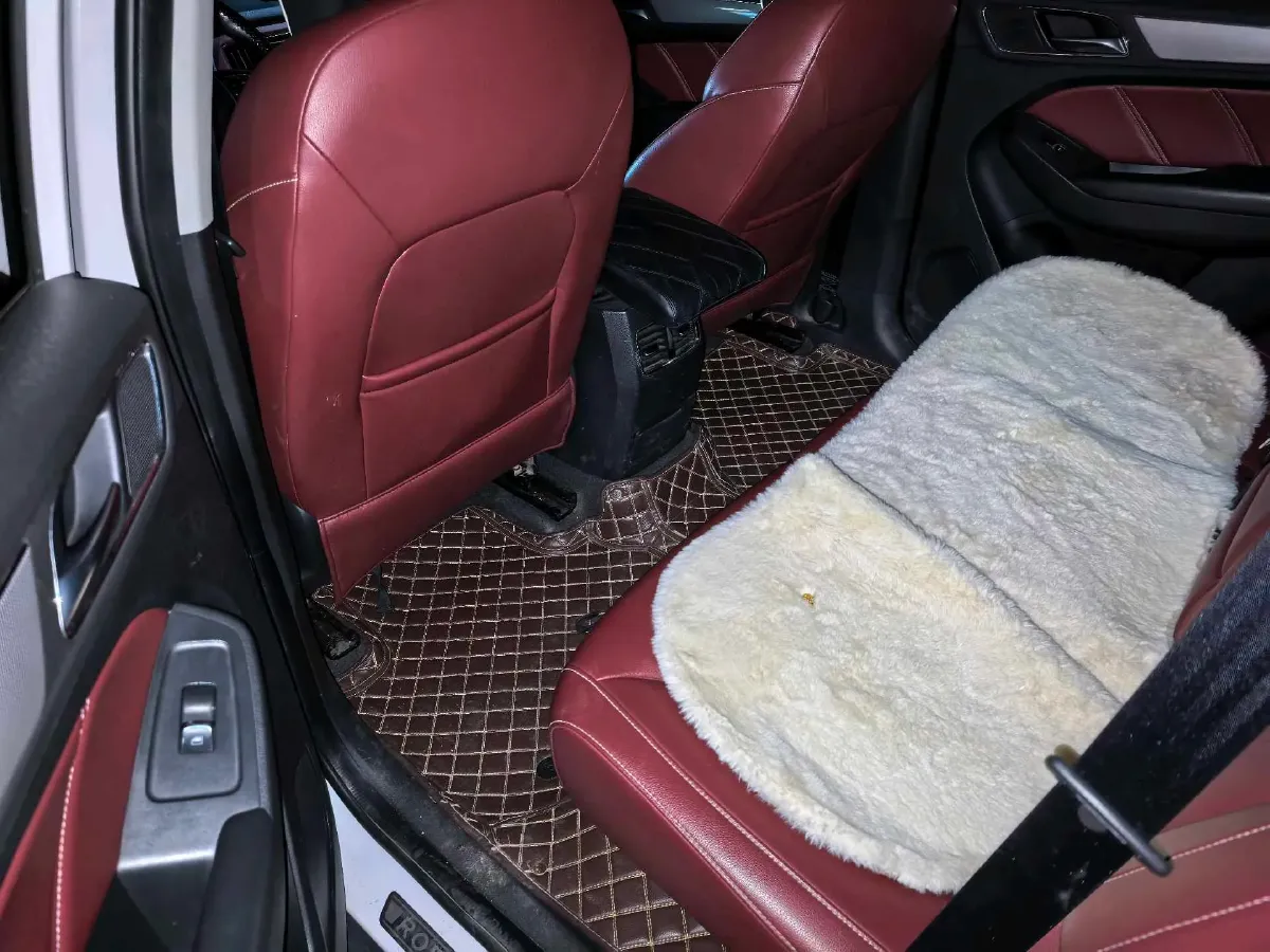 2018 Roewe RX5 2.0T 220HP L4 6DCT,autocango,china used car exporter,china ev exporter,chinese used car exporter,chinese used ev exporter