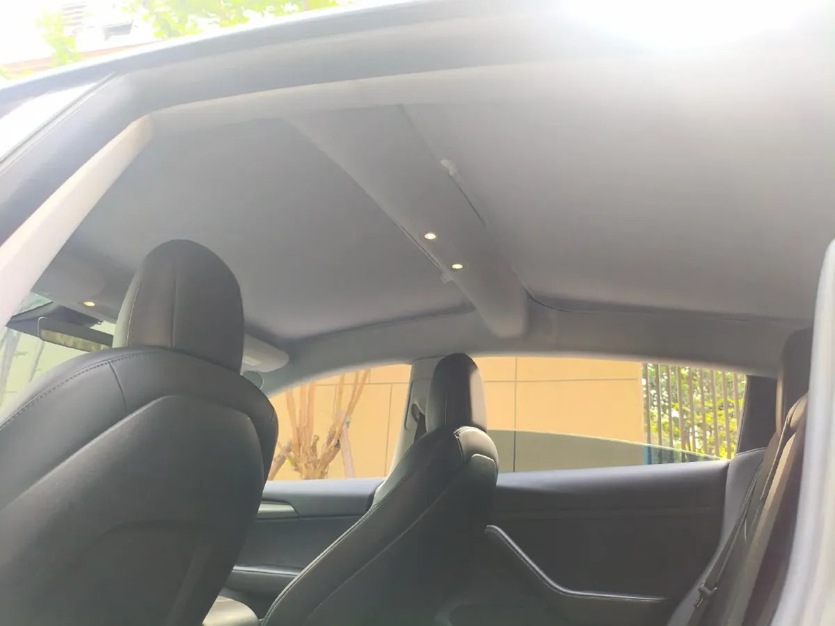 2021 Tesla Model 3 BEV 55KWH,autocango,china used car exporter,china ev exporter,chinese used car exporter,chinese used ev exporter