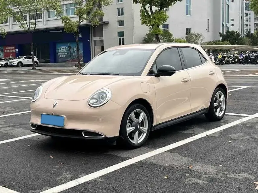 2021 Ora FunkyCat BEV 45.99KWH,autocango,china used car exporter,china ev exporter,chinese used car exporter,chinese used ev exporter