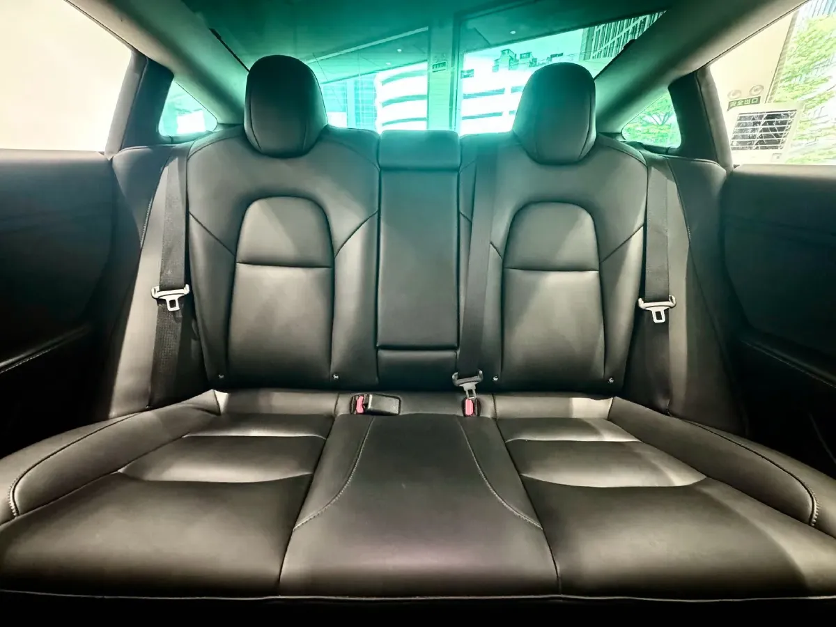 2021 Tesla Model 3 BEV 55KWH,autocango,china used car exporter,china ev exporter,chinese used car exporter,chinese used ev exporter