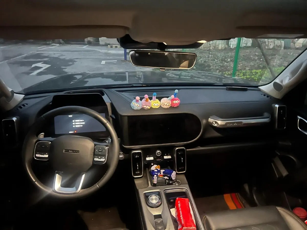 2024 Haval Dargo 2.0T 238HP L4 9DCT,autocango,china used car exporter,china ev exporter,chinese used car exporter,chinese used ev exporter