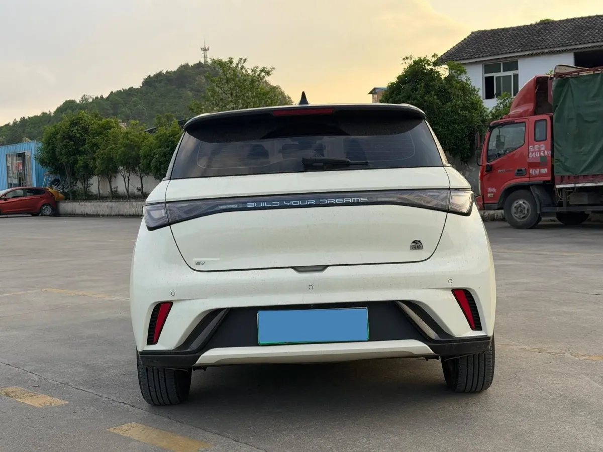 2023 BYD Dolphin BEV 44.928KWH,autocango,china used car exporter,china ev exporter,chinese used car exporter,chinese used ev exporter