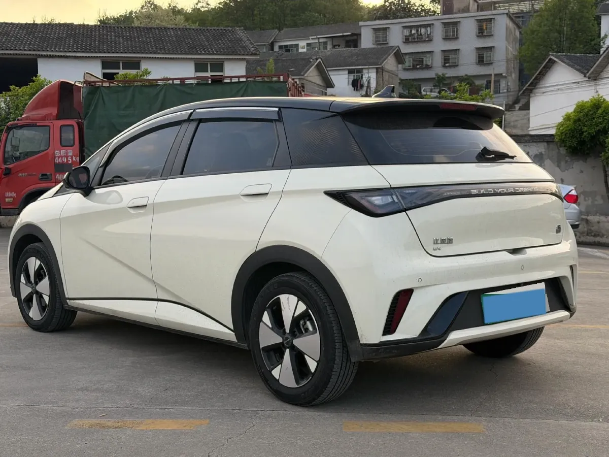 2023 BYD Dolphin BEV 44.928KWH,autocango,china used car exporter,china ev exporter,chinese used car exporter,chinese used ev exporter