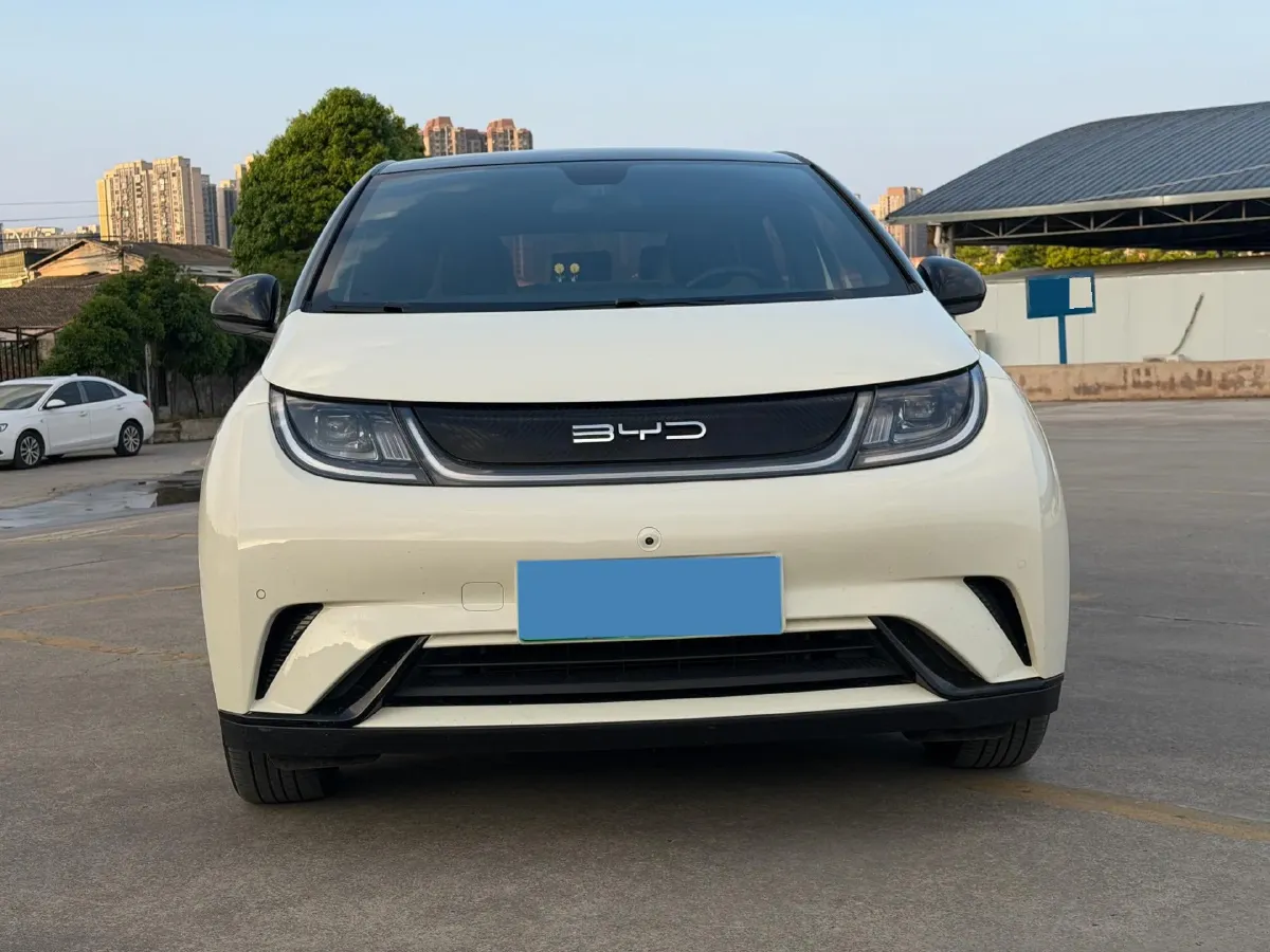 2023 BYD Dolphin BEV 44.928KWH,autocango,china used car exporter,china ev exporter,chinese used car exporter,chinese used ev exporter