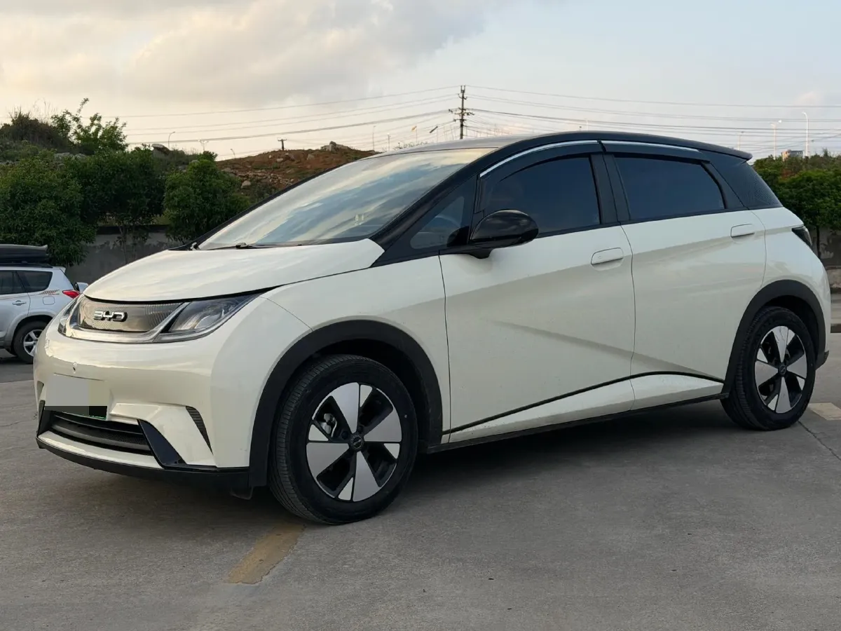 2023 BYD Dolphin BEV 44.928KWH,autocango,china used car exporter,china ev exporter,chinese used car exporter,chinese used ev exporter