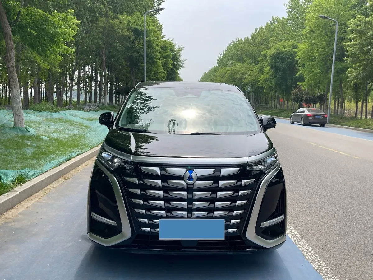 2024 Denza D9 1.5T 139HP L4 E-CVT PHEV 40KWH,autocango,china used car exporter,china ev exporter,chinese used car exporter,chinese used ev exporter