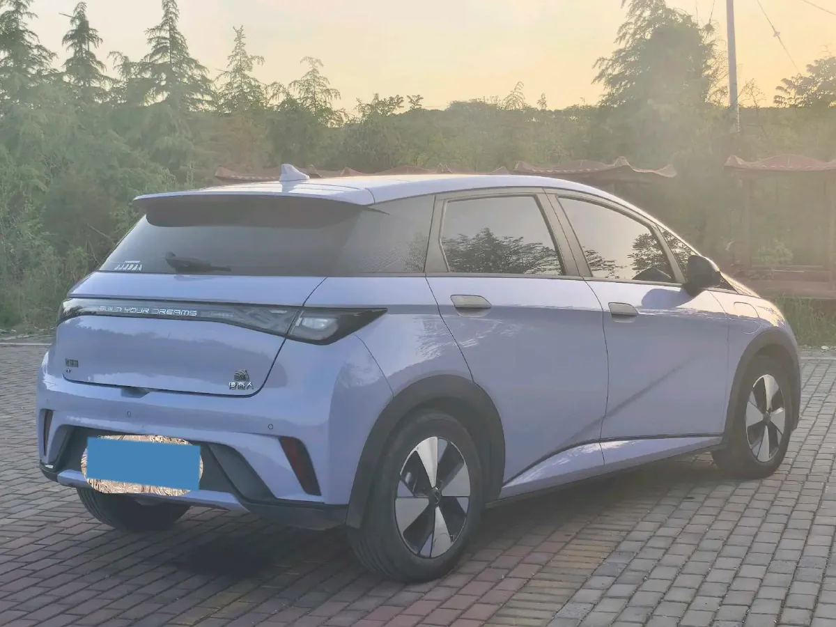 2023 BYD Dolphin BEV 44.928KWH,autocango,china used car exporter,china ev exporter,chinese used car exporter,chinese used ev exporter