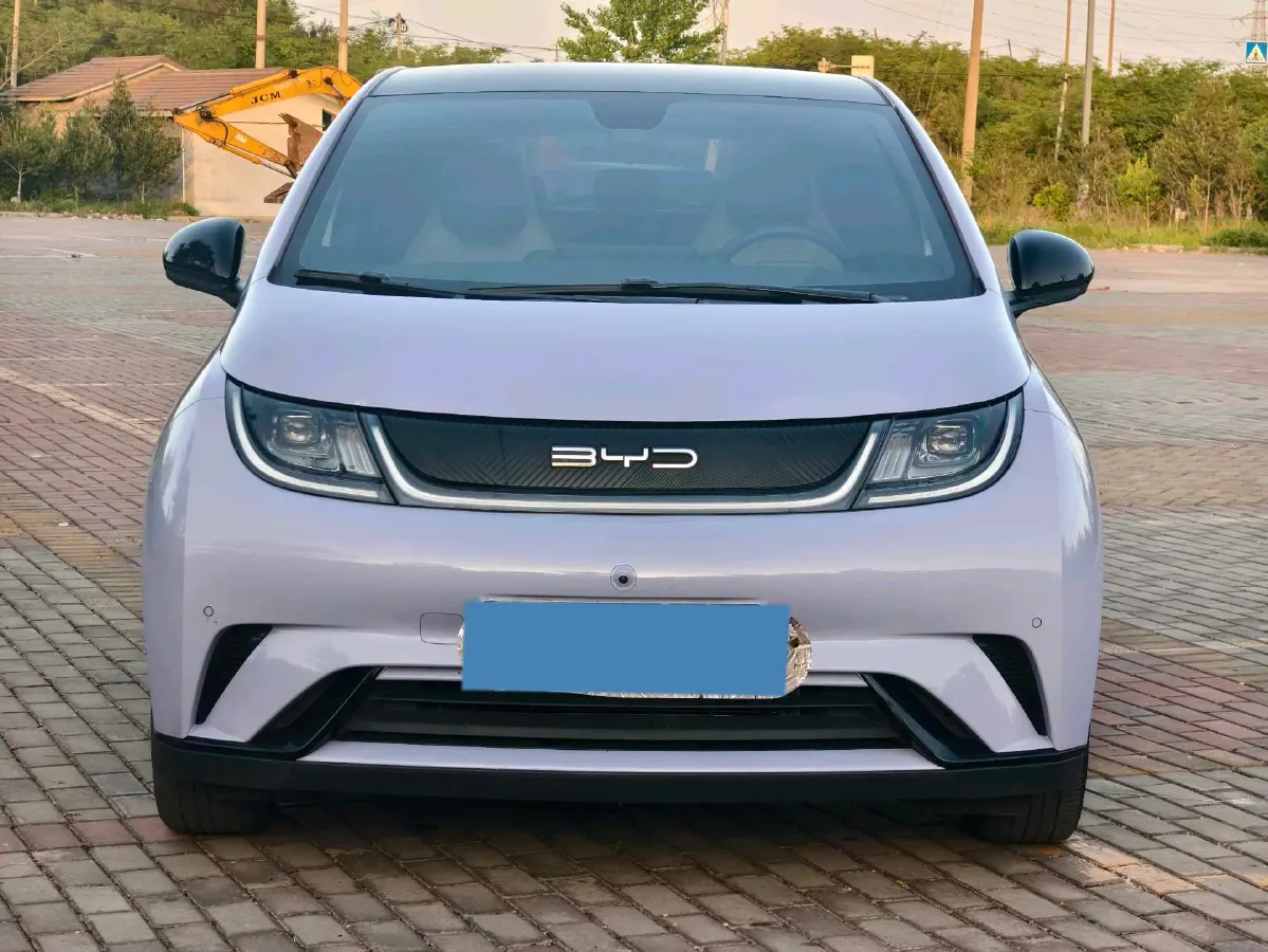 2023 BYD Dolphin BEV 44.928KWH,autocango,china used car exporter,china ev exporter,chinese used car exporter,chinese used ev exporter