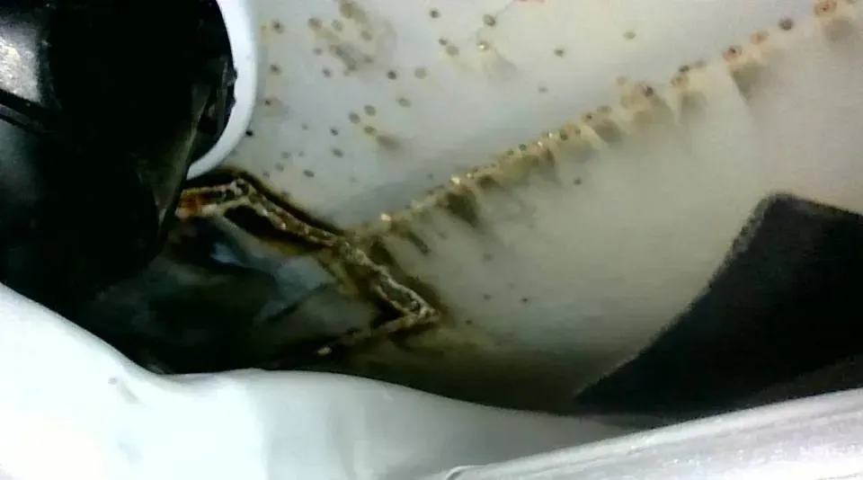 2019 Hyundai Tucson 1.6T 177HP L4 7DCT,autocango,china used car exporter,china ev exporter,chinese used car exporter,chinese used ev exporter