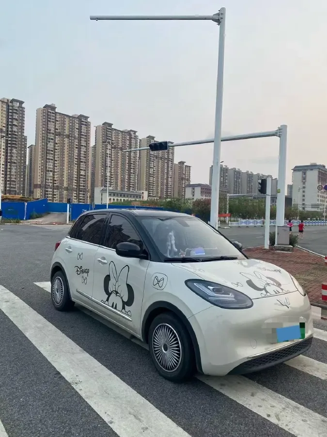 2023 WuLing BinGuo BEV 37.9KWH,autocango,china used car exporter,china ev exporter,chinese used car exporter,chinese used ev exporter