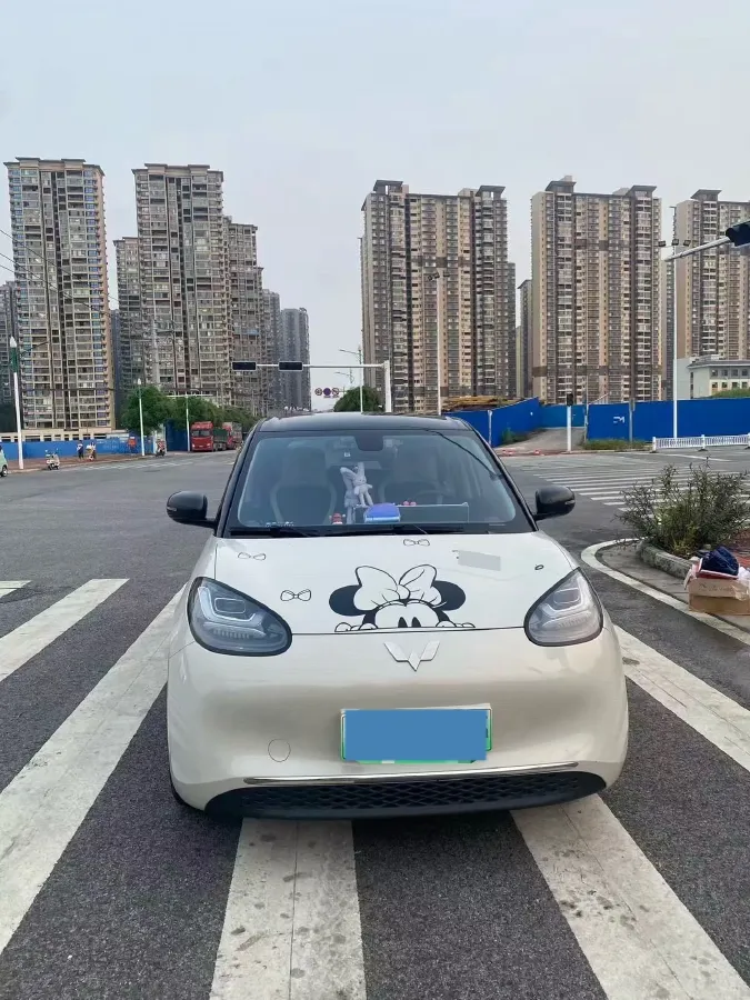 2023 WuLing BinGuo BEV 37.9KWH,autocango,china used car exporter,china ev exporter,chinese used car exporter,chinese used ev exporter