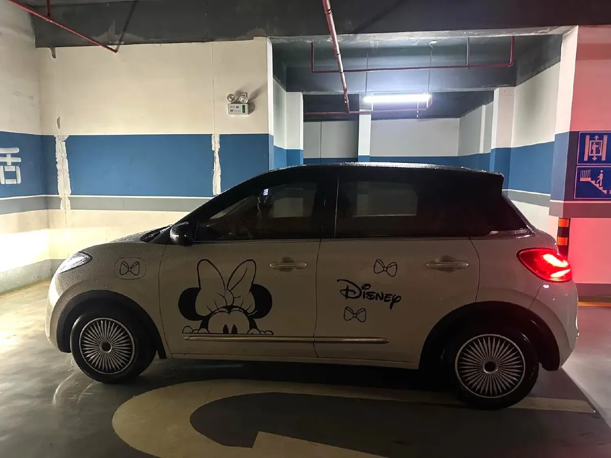 2023 WuLing BinGuo BEV 37.9KWH,autocango,china used car exporter,china ev exporter,chinese used car exporter,chinese used ev exporter