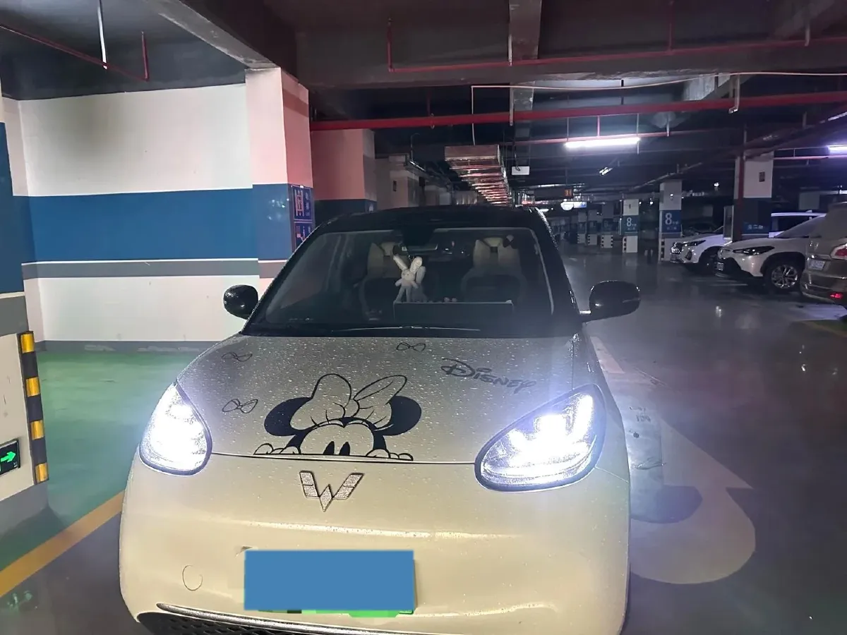 2023 WuLing BinGuo BEV 37.9KWH,autocango,china used car exporter,china ev exporter,chinese used car exporter,chinese used ev exporter