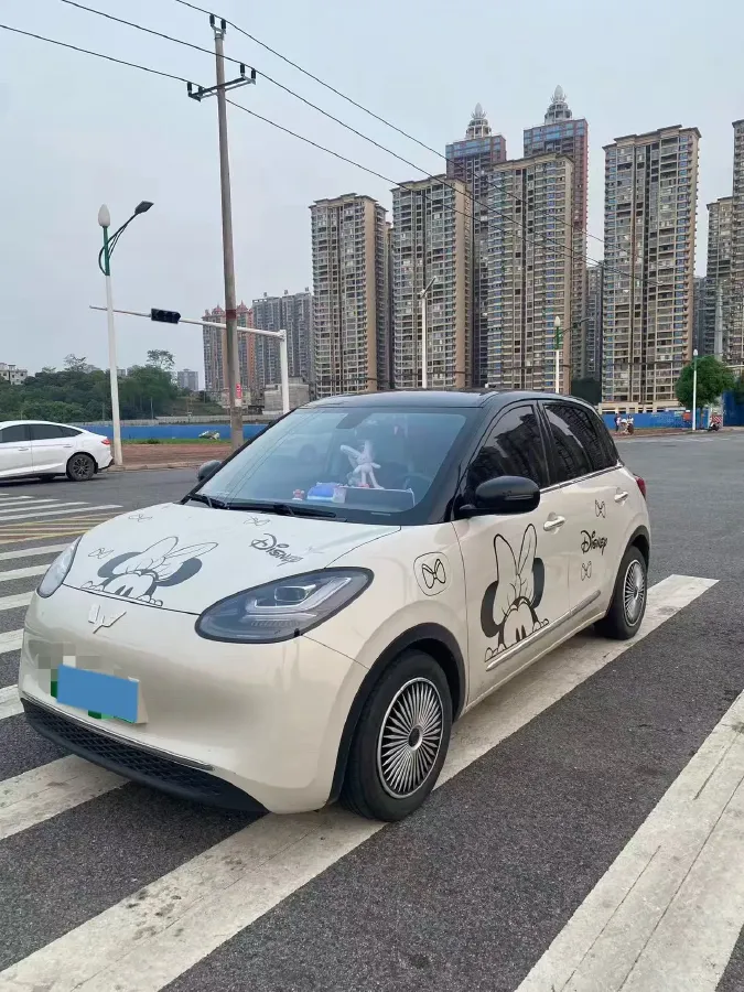 2023 WuLing BinGuo BEV 37.9KWH,autocango,china used car exporter,china ev exporter,chinese used car exporter,chinese used ev exporter