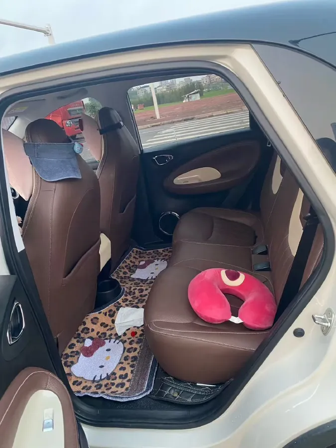 2023 WuLing BinGuo BEV 37.9KWH,autocango,china used car exporter,china ev exporter,chinese used car exporter,chinese used ev exporter