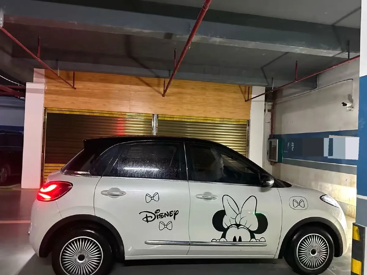 2023 WuLing BinGuo BEV 37.9KWH,autocango,china used car exporter,china ev exporter,chinese used car exporter,chinese used ev exporter