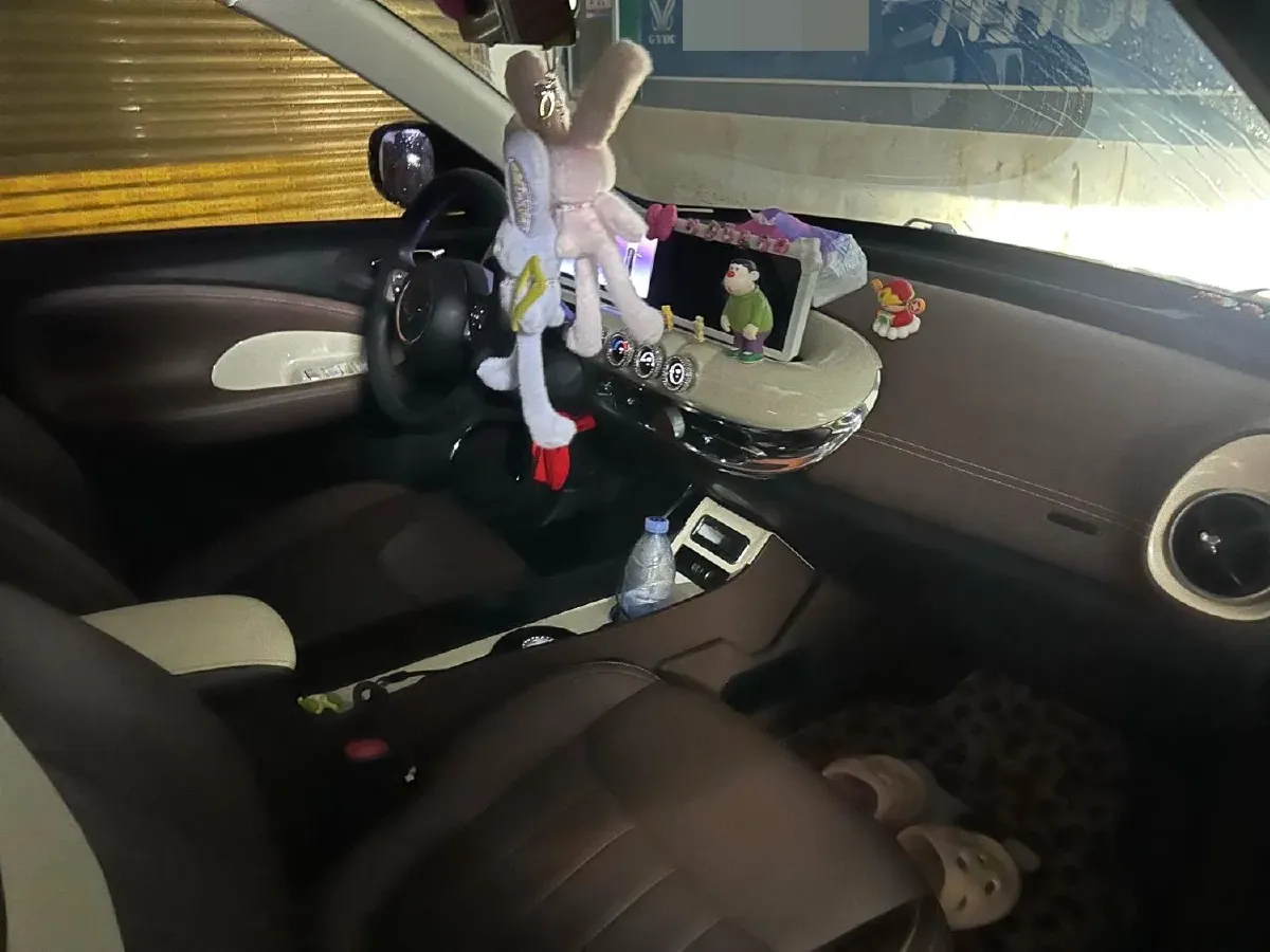 2023 WuLing BinGuo BEV 37.9KWH,autocango,china used car exporter,china ev exporter,chinese used car exporter,chinese used ev exporter