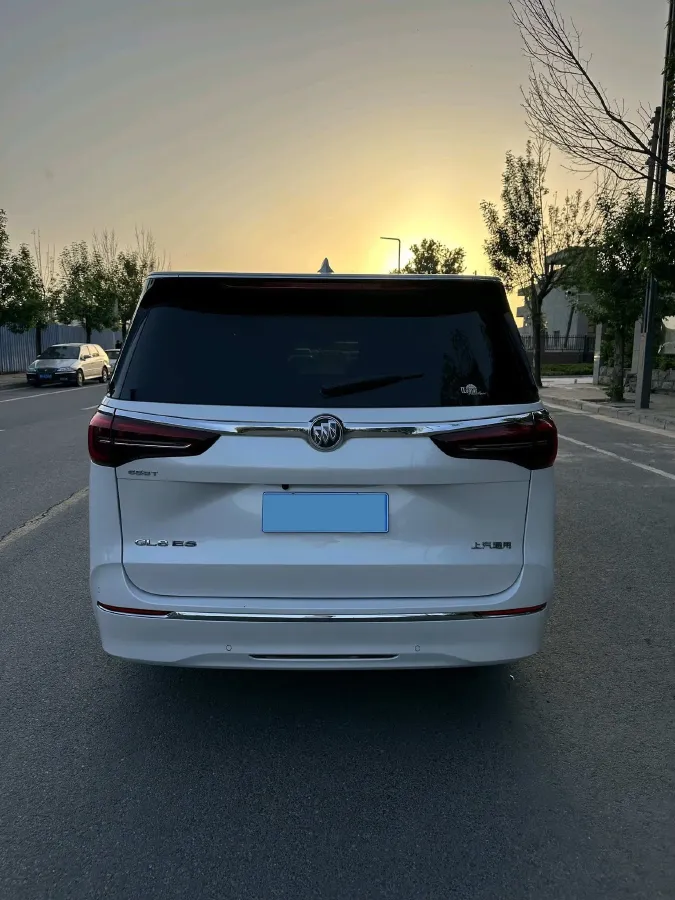 2021 Buick GL8 2.0T 237HP L4 9AT,autocango,china used car exporter,china ev exporter,chinese used car exporter,chinese used ev exporter