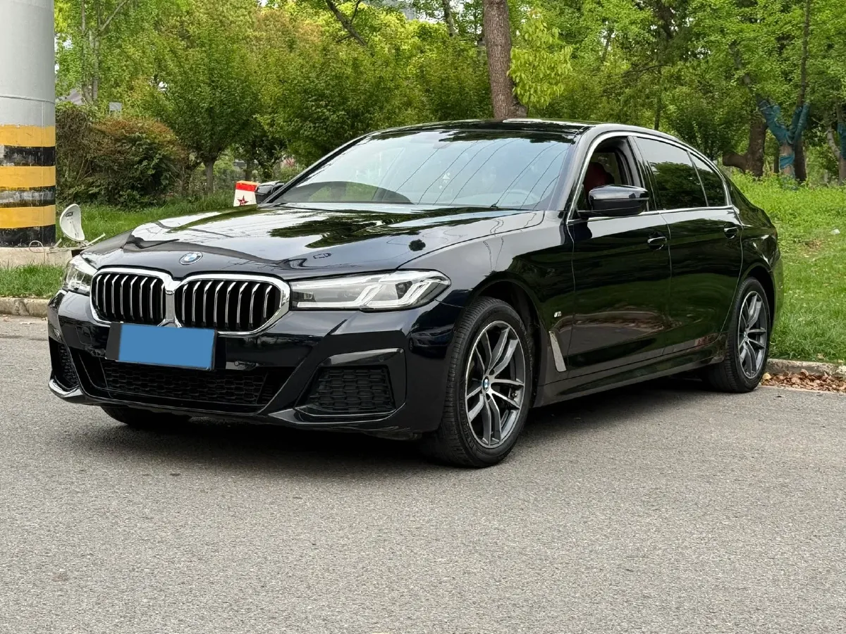 2021 BMW 5 Series 2.0T 184HP L4 8AT,autocango,china used car exporter,china ev exporter,chinese used car exporter,chinese used ev exporter