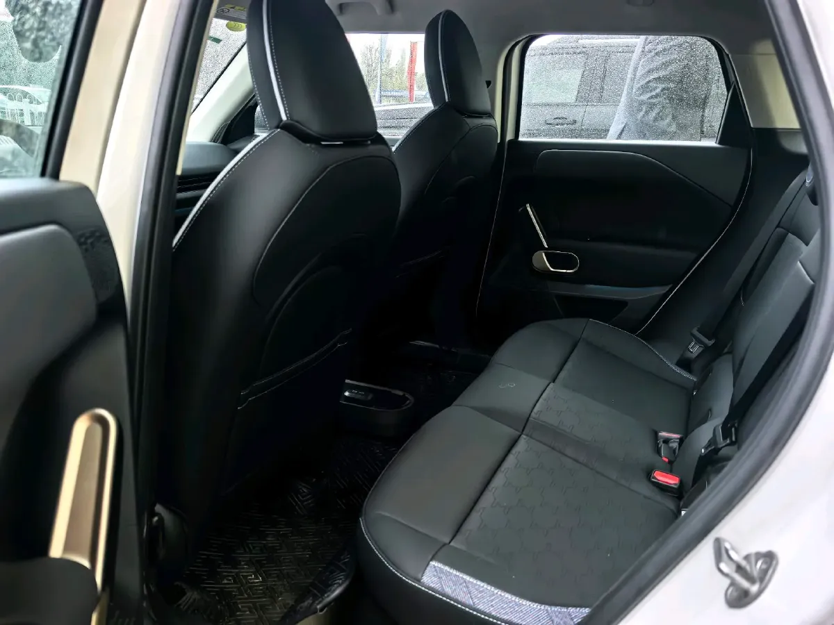 2025 MINI ACEMAN BEV,autocango,china used car exporter,china ev exporter,chinese used car exporter,chinese used ev exporter