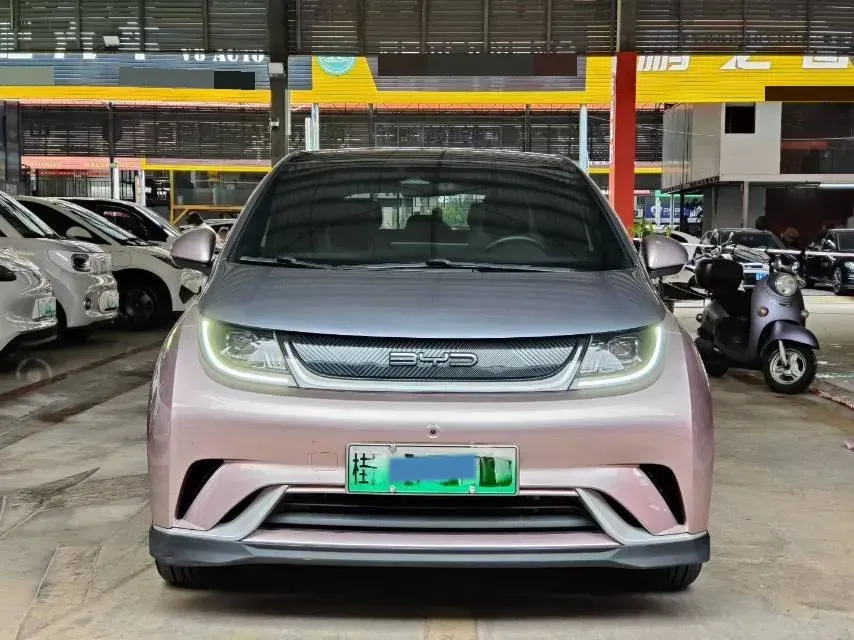 2021 BYD e2 BEV 43.2KWH,autocango,china used car exporter,china ev exporter,chinese used car exporter,chinese used ev exporter