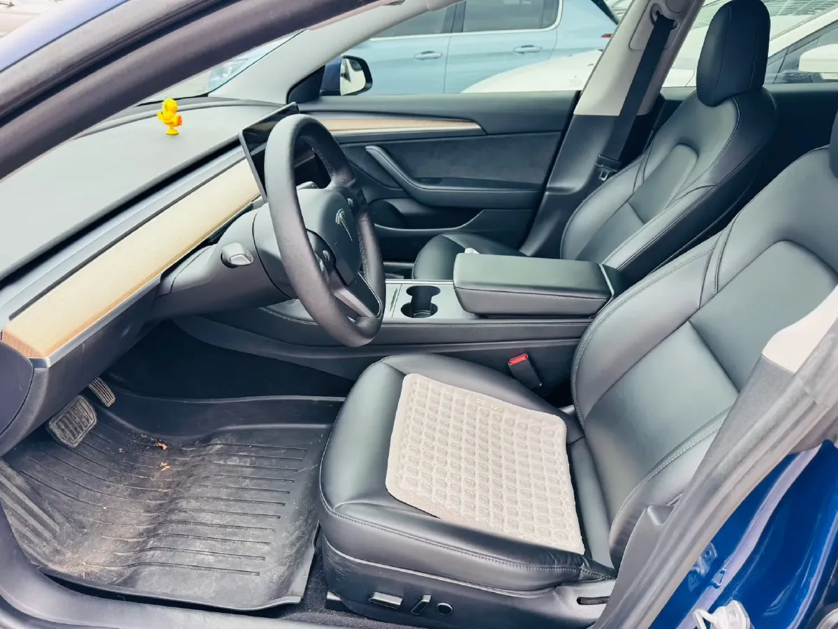 2021 Tesla Model 3 BEV 55KWH,autocango,china used car exporter,china ev exporter,chinese used car exporter,chinese used ev exporter