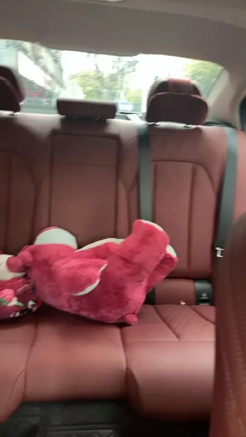 2025 BMW 3 Series 2.0T 245HP L4 8AT,autocango,china used car exporter,china ev exporter,chinese used car exporter,chinese used ev exporter