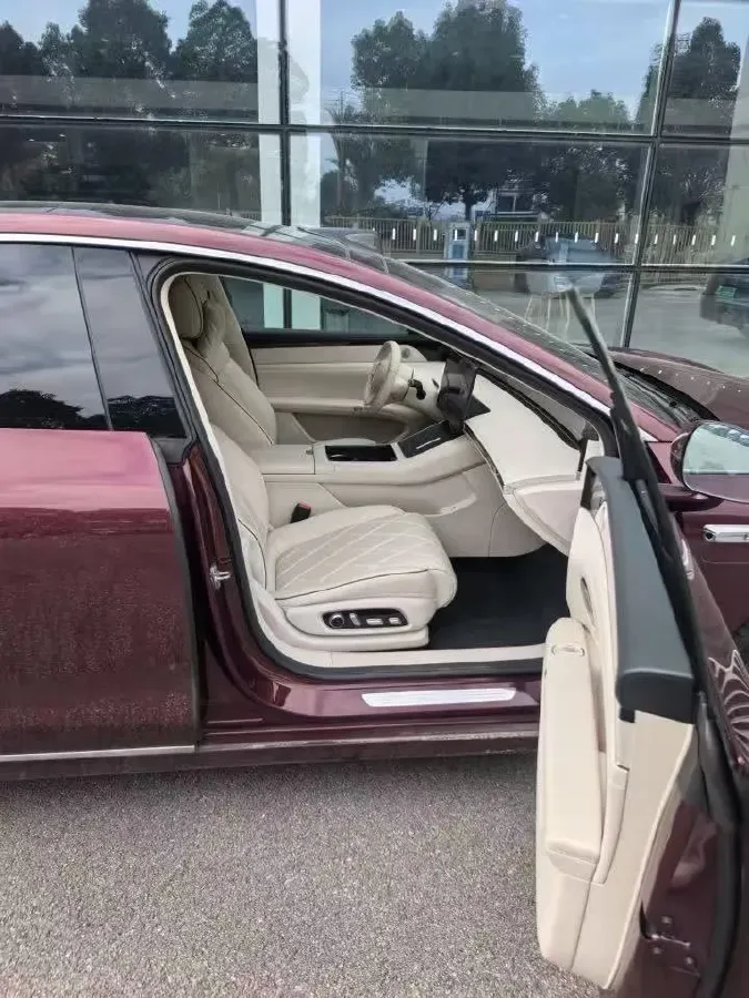 2024 HIMA Stelato S9 BEV 100KWH,autocango,china used car exporter,china ev exporter,chinese used car exporter,chinese used ev exporter