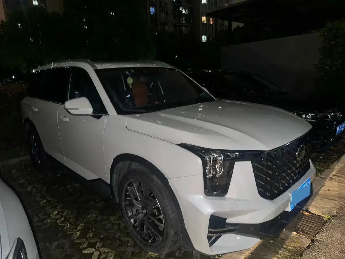 2022 GAC Trumpchi GS8 2.0T 252HP L4 8AT,autocango,china used car exporter,china ev exporter,chinese used car exporter,chinese used ev exporter