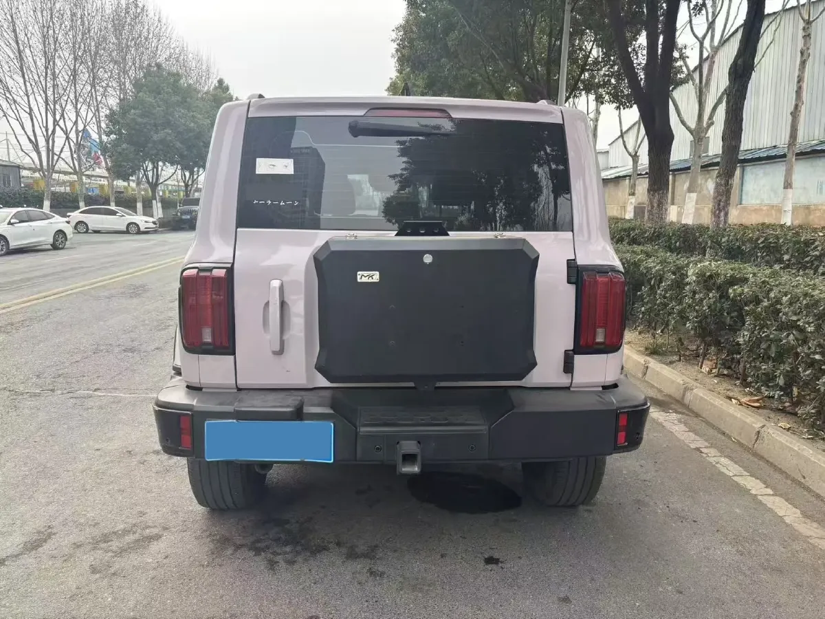 2023 Tank 300 2.0T 227HP L4 8AT,autocango,china used car exporter,china ev exporter,chinese used car exporter,chinese used ev exporter